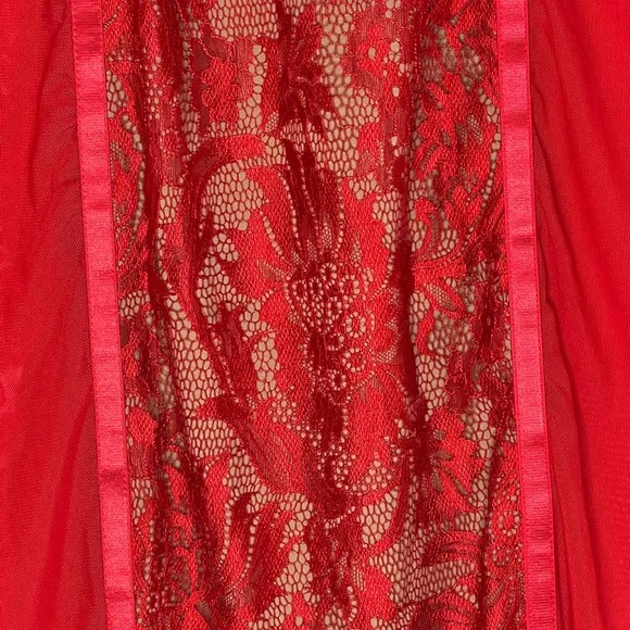 JLUXLABEL Red Mesh Lace Chemise Set - Picture 7 of 7